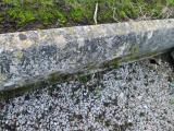 image of grave number 281509